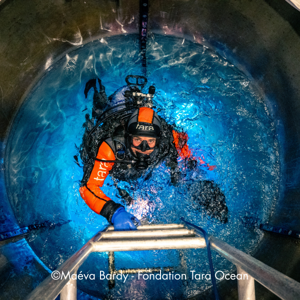 TaraOcéan6