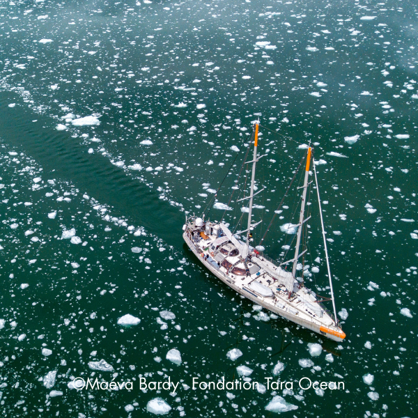 TaraOcéan3