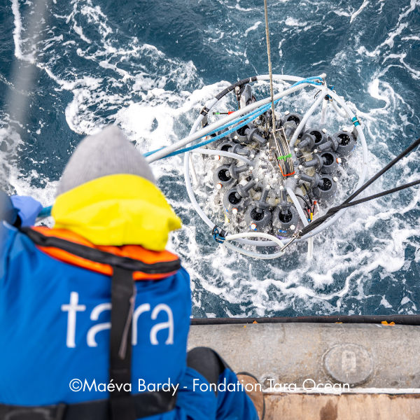 TaraOcéan5