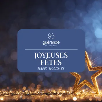 Joyeuses fêtes