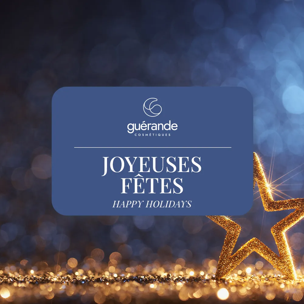 Joyeuses fêtes